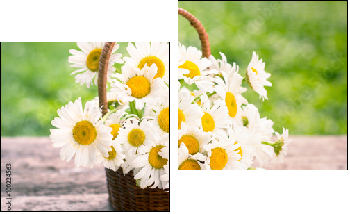 Spring flowers - Daisy flowers in the basket - Two-piece canvas print, Diptych