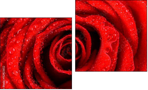 Wet Red Rose Close Up With Water Drops - Two-piece canvas print, Diptych