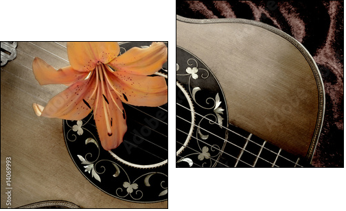 Nostalgia with vintage guitar and lily - Two-piece canvas print, Diptych