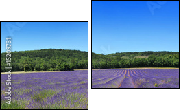 Panorama de provence - Two-piece canvas print, Diptych
