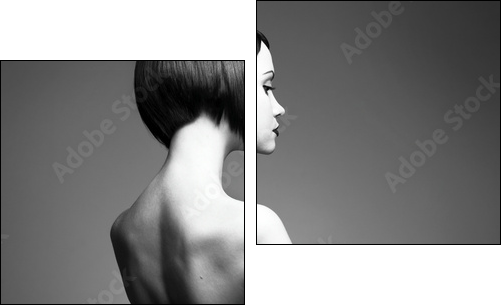Elegant lady with stylish hairstyle - Two-piece canvas print, Diptych