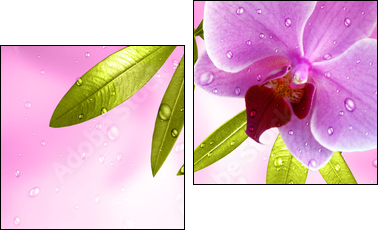 Wellness Motiv mit Orchidee - Two-piece canvas print, Diptych