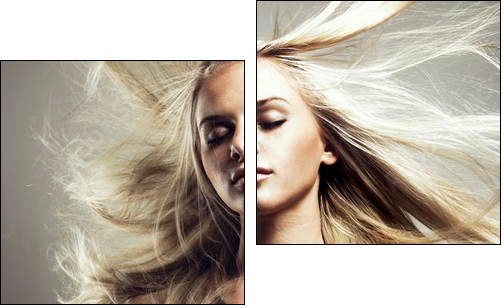 Beautiful woman with magnificent hair - Two-piece canvas print, Diptych