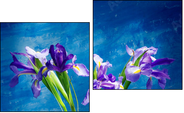 irises - Two-piece canvas print, Diptych