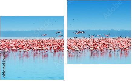 African flamingos - Two-piece canvas print, Diptych