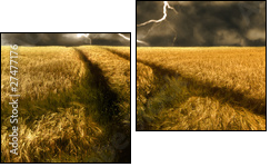 thunderstorm over a golden  barley field - Two-piece canvas print, Diptych