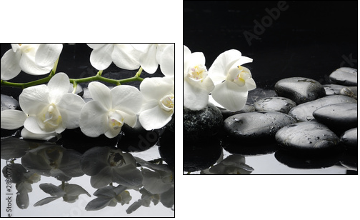 Close up white orchid with stone water drops - Two-piece canvas print, Diptych