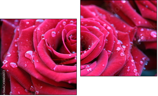 Red rose with dew - Two-piece canvas print, Diptych