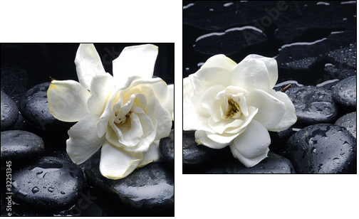 Spa still life with gardenia flower on pebble - Two-piece canvas print, Diptych
