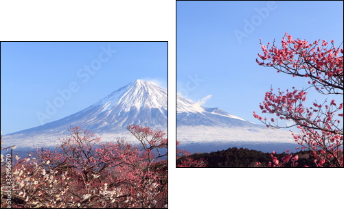 Mt. Fuji with Japanese Plum Blossoms - Two-piece canvas print, Diptych