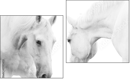 white horses - Two-piece canvas print, Diptych