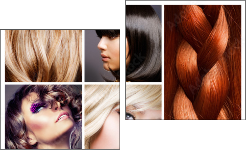 Hair Collage. Hairstyles - Two-piece canvas print, Diptych