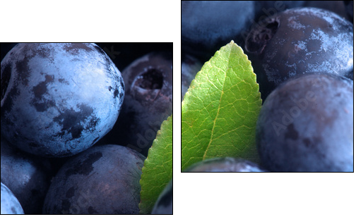 Macro shot of wet fresh blueberry - Two-piece canvas print, Diptych