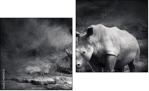 White Rhinoceros - Two-piece canvas print, Diptych