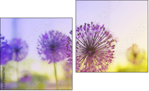 Flowering Onion - Two-piece canvas print, Diptych