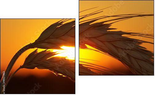 Wheat - Two-piece canvas print, Diptych