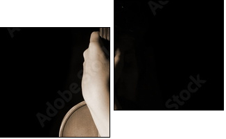old violin - Two-piece canvas print, Diptych