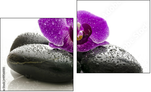 Violet orchid on black spa stones with water drops - Two-piece canvas print, Diptych
