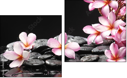 Set of frangipani with zen stones - Two-piece canvas print, Diptych