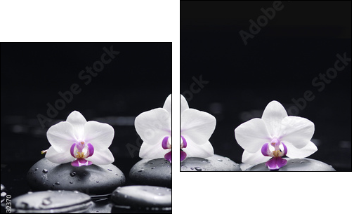 orchid flower and stones in water drops - Two-piece canvas print, Diptych