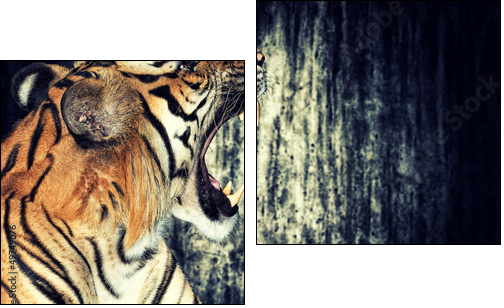 Tiger against grunge wall - Two-piece canvas print, Diptych
