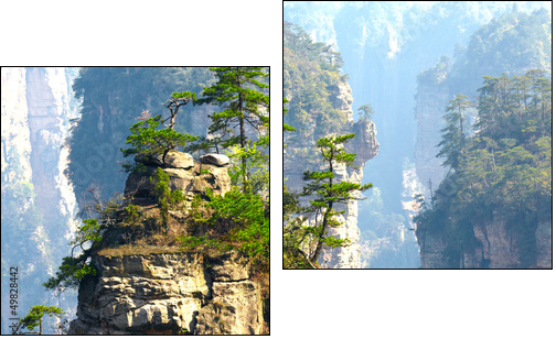 Zhangjiajie National Park, China. Avatar mountains - Two-piece canvas print, Diptych