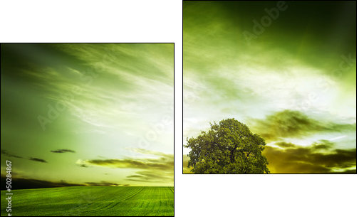 Green nature - Two-piece canvas print, Diptych