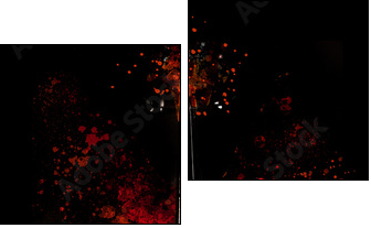 Violin is exploding - dispersion effect - - Two-piece canvas print, Diptych