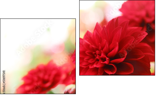 red dahlia flower - Two-piece canvas print, Diptych