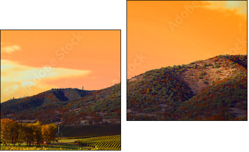 Vineyard Sunset - Two-piece canvas print, Diptych