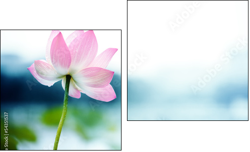 blooming lotus flower - Two-piece canvas print, Diptych