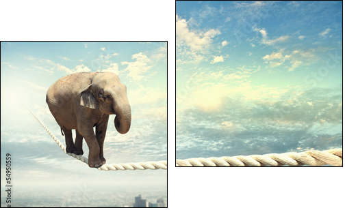 Elephant walking on rope - Two-piece canvas print, Diptych