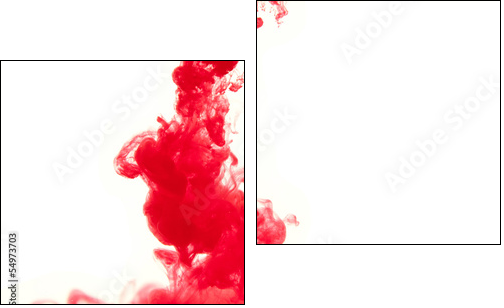 Ink of blood - Two-piece canvas print, Diptych