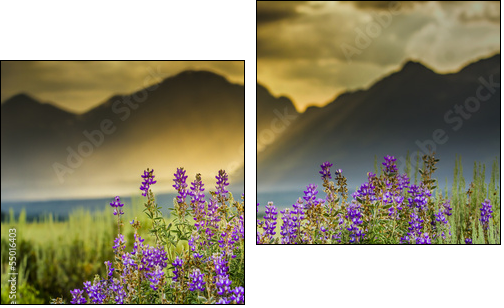 Purple Lupines in the Tetons - Two-piece canvas print, Diptych