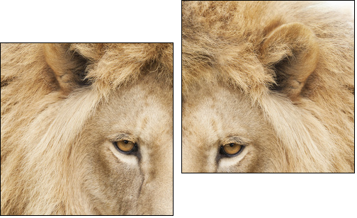 King - Two-piece canvas print, Diptych