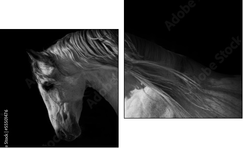 horse portrait on a dark background - Two-piece canvas print, Diptych