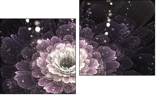 violet fractal flower with droplets of water - Two-piece canvas print, Diptych