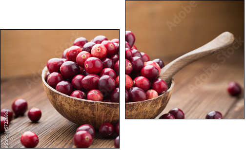 Cranberries. - Two-piece canvas print, Diptych
