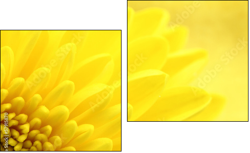Yellow chrysanthemum petals macro shot - Two-piece canvas print, Diptych