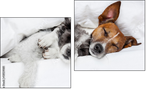 two dogs in love - Two-piece canvas print, Diptych