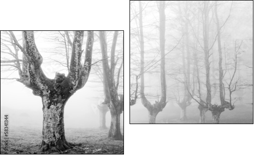creepy forest with scary trees - Two-piece canvas print, Diptych