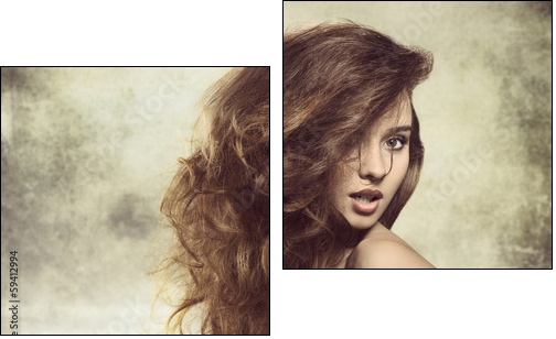 sexy lady with bushy hair - Two-piece canvas print, Diptych