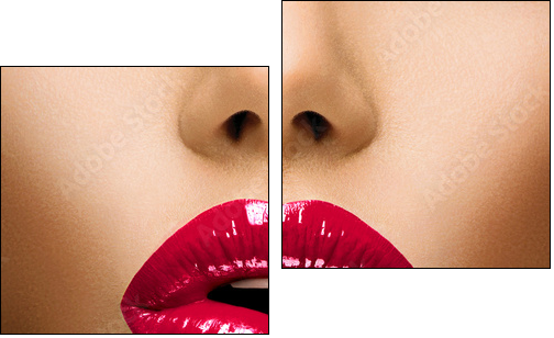 Sexy Lips. Beautiful Make-up Closeup. Kiss - Two-piece canvas print, Diptych