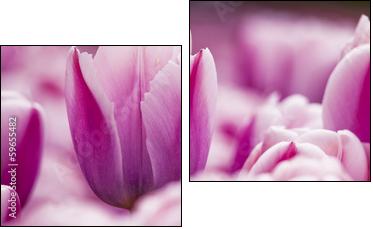 Pink tulips - Two-piece canvas print, Diptych