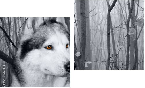 wolf in the woods - Two-piece canvas print, Diptych