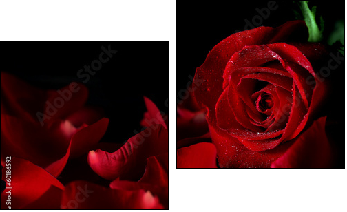 Red rose - Two-piece canvas print, Diptych
