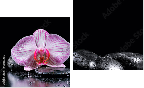 Orchid flower with zen stones on black background - Two-piece canvas print, Diptych