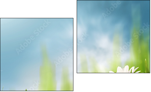 Daisy flowers on the meadow, seasonal backgrounds for your desi - Two-piece canvas print, Diptych