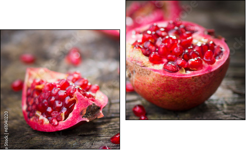Pomegranate - Two-piece canvas print, Diptych
