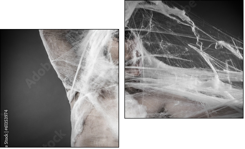 Trap.man tangled in huge white spider web - Two-piece canvas print, Diptych